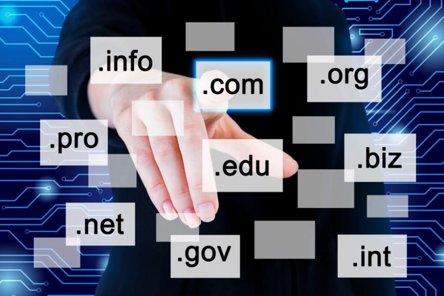 Why Did Moz Domain Authority Go Up So Quickly? Hidden Factors 