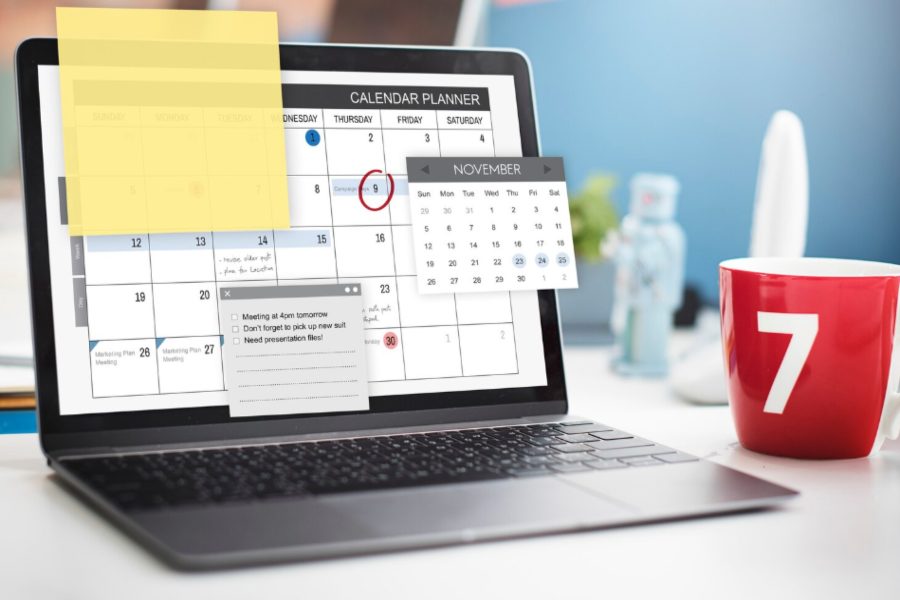 can you schedule posts on google my business